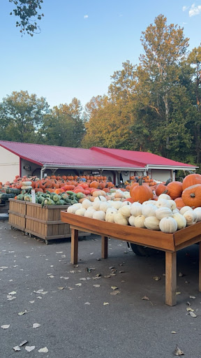 Pumpkin section of Szalays Farm & Market