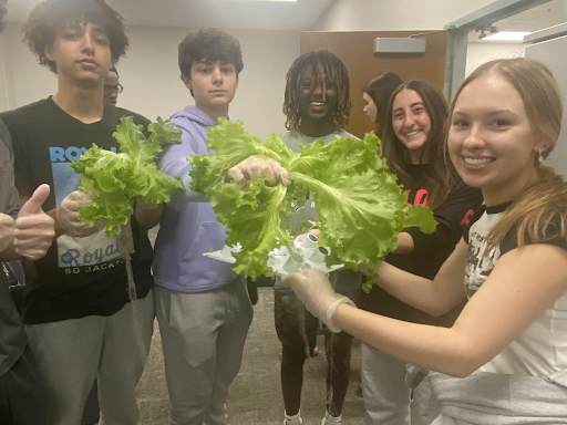 5th period AP Environmental students. From left to right: Jayden Reyes, Kyle Leibovitch, Fasika Embacher, Jessica Lynn and Taylor Sordi harvesting the hydroponic lettuce. 
