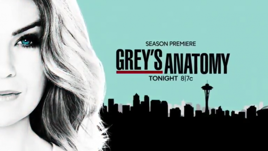 "Grey's Anatomy" premieres Sept. 22 at 8 p.m. of ABC.