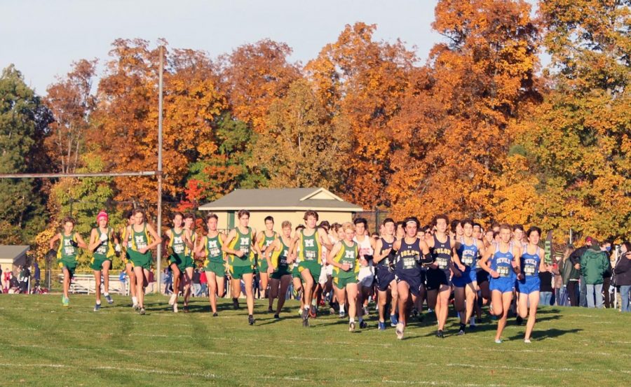 Seniors Johnny Ciccero, Nathan Close and Josh Baker sprint out ahead early at the beginning of the GCC race at Strongsville High School   