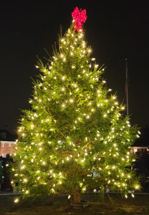 The evergreen tree lit by Mayor Edward Kraus at Solon's 2024 Winter Festival. Photo courtesy of Katie Holub.